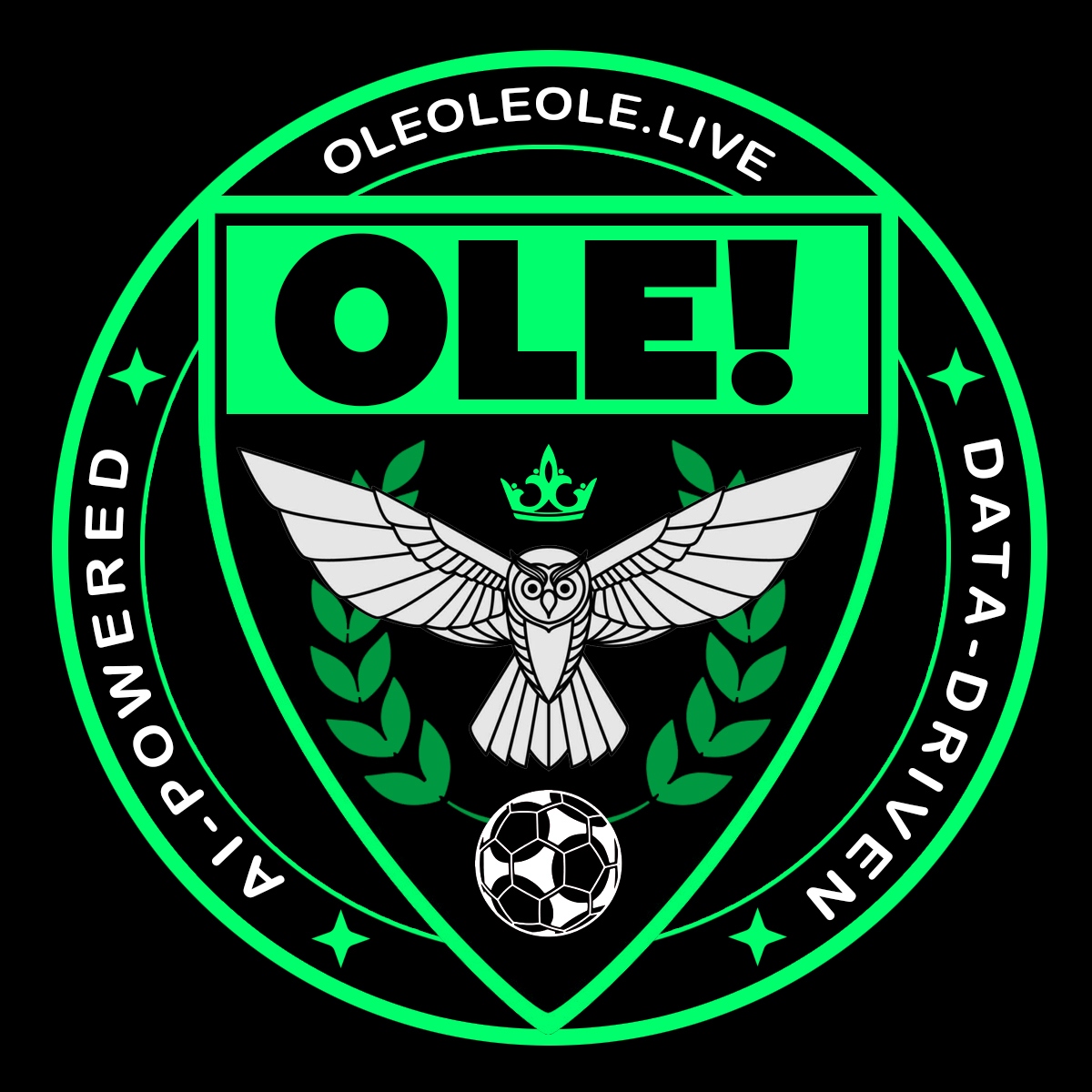 OleOleOle Soccer News & Analytics