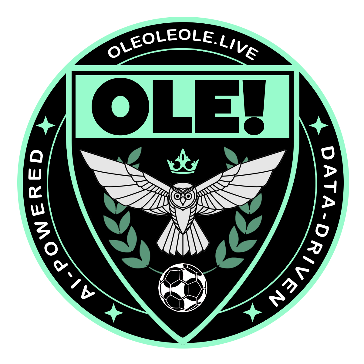 OleOleOle Soccer News & Analytics