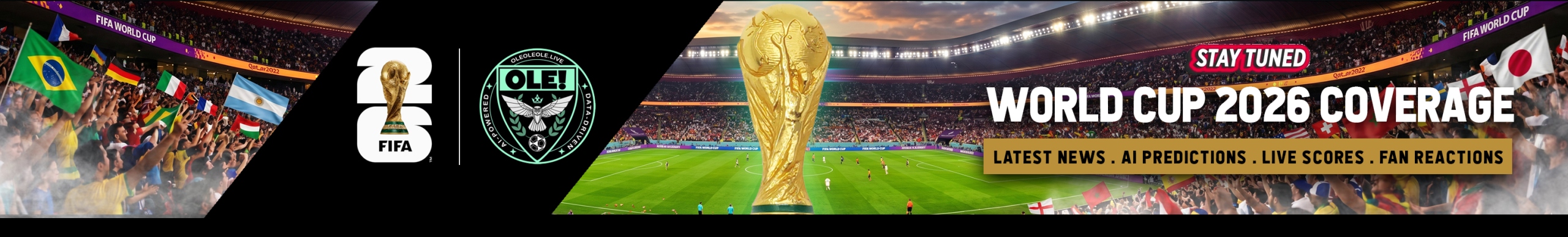 ole-ole-worldcup-banner